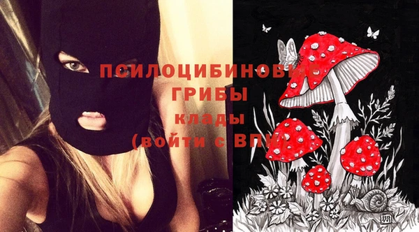 ГАЛЛЮЦИНОГЕННЫЕ ГРИБЫ Арсеньев