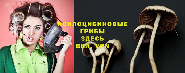 apvp Армянск
