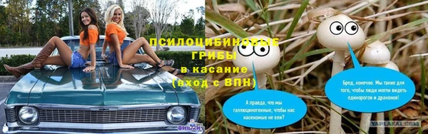 ГАЛЛЮЦИНОГЕННЫЕ ГРИБЫ Арсеньев