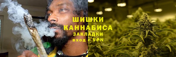 ГАЛЛЮЦИНОГЕННЫЕ ГРИБЫ Арсеньев