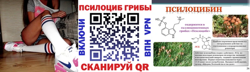 MEGA зеркало  Суворов  Галлюциногенные грибы прущие грибы  купить наркоту 